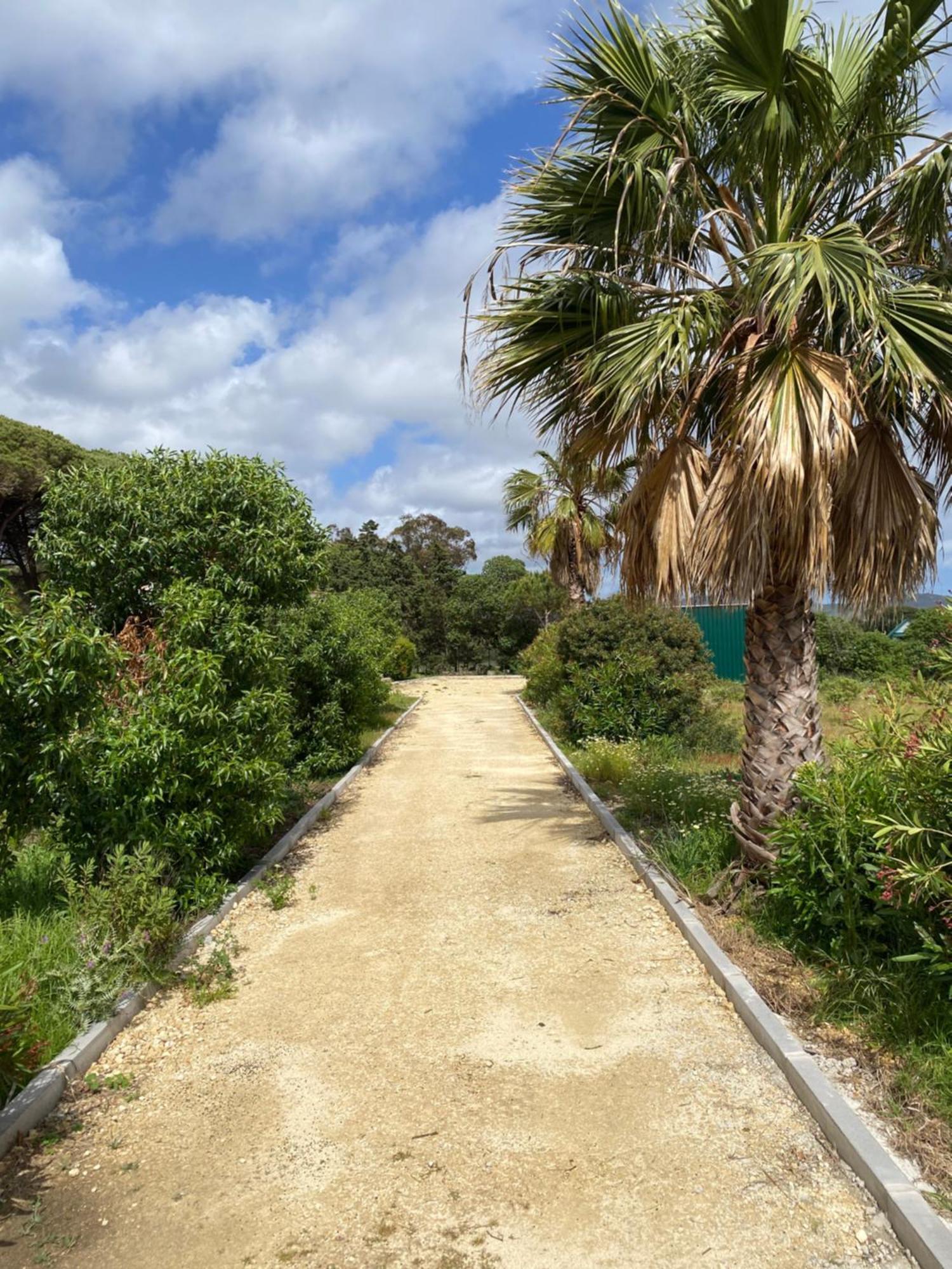 Finca Dos Vientos Тарифа Екстериор снимка